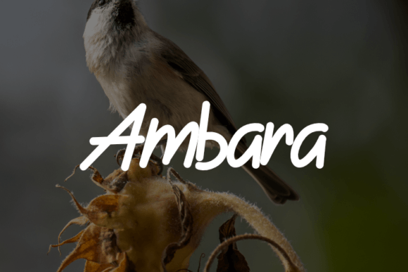Ambara: A Font That Speaks Before the Copy Does