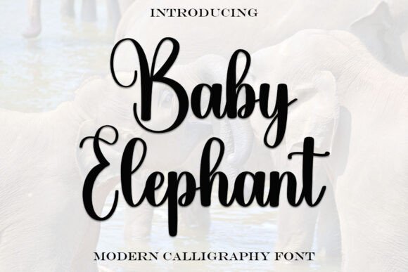 Baby Elephant: A Contemporary Script Font for Editorial Design