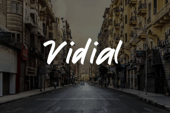 Vidial: A Distinctive Font That Strengthens Your Brand Identity